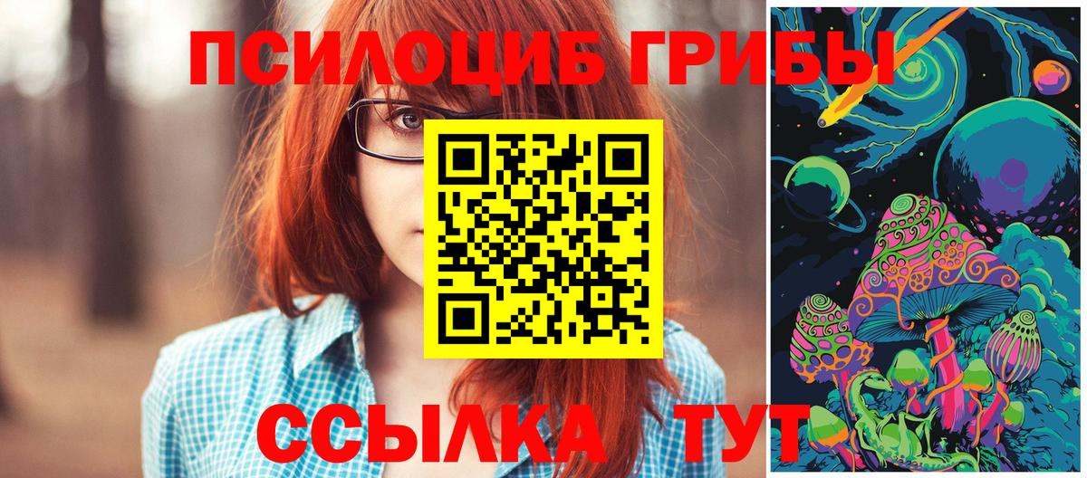 Галлюциногенные грибы Cubensis  Вход с VPN  Шелехов  Псилоцибиновые грибы мицелий 