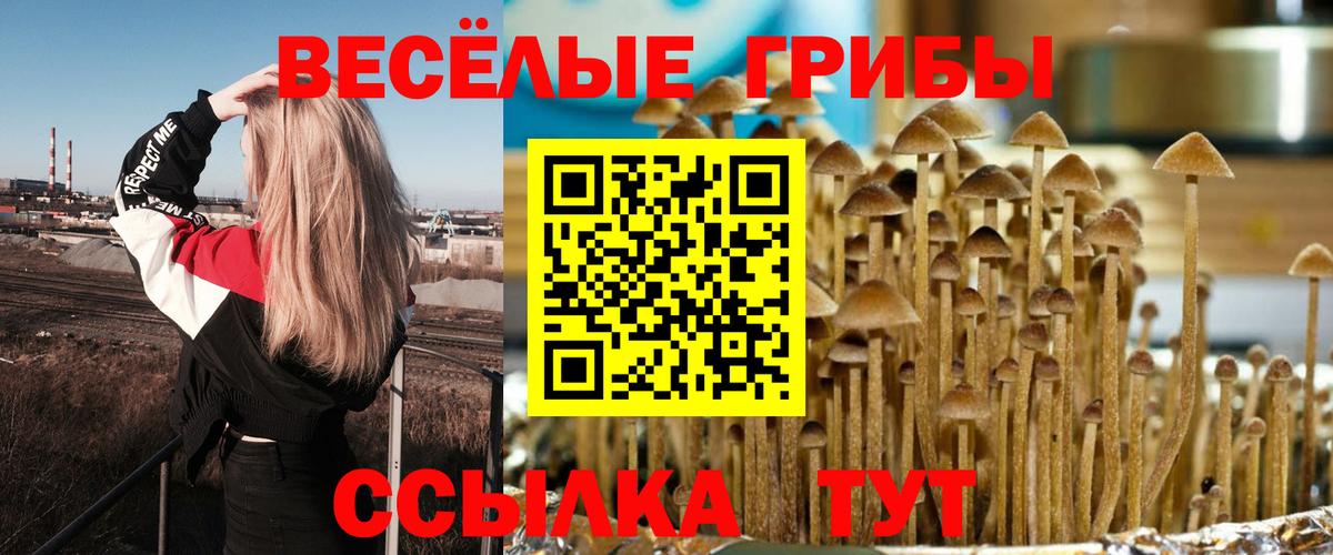Галлюциногенные грибы ЛСД Шелехов